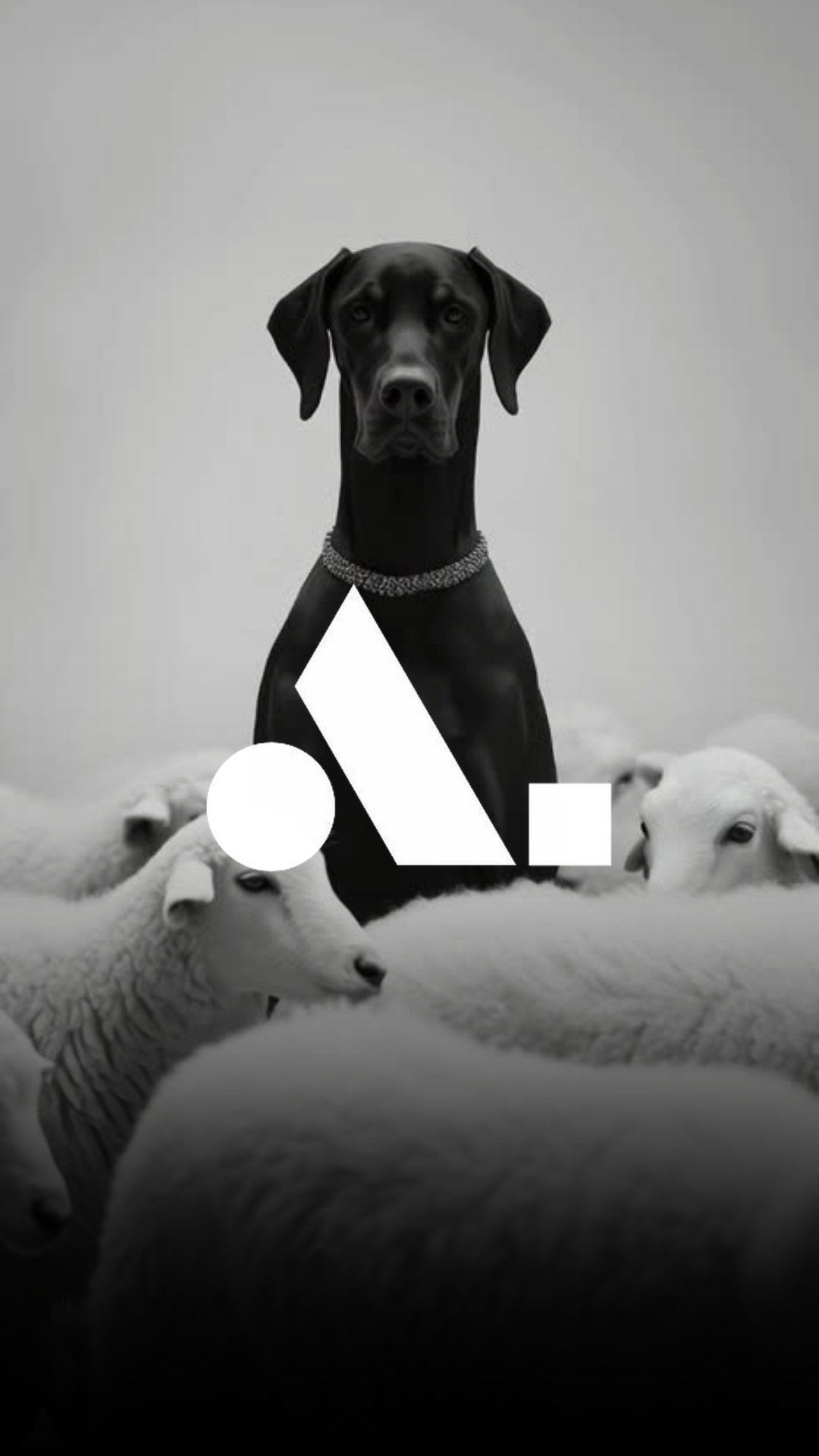 Alaris dog post